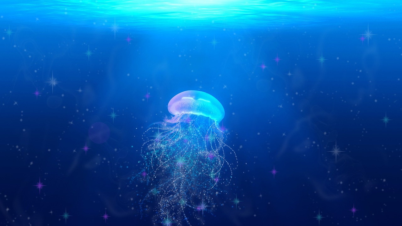 jellyfish-2121429_1280
